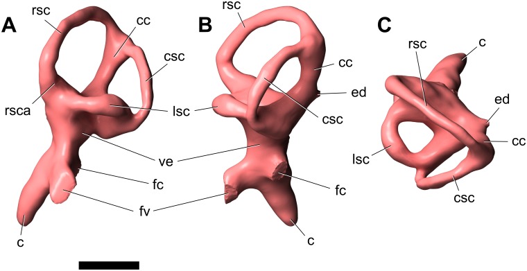 Fig 11