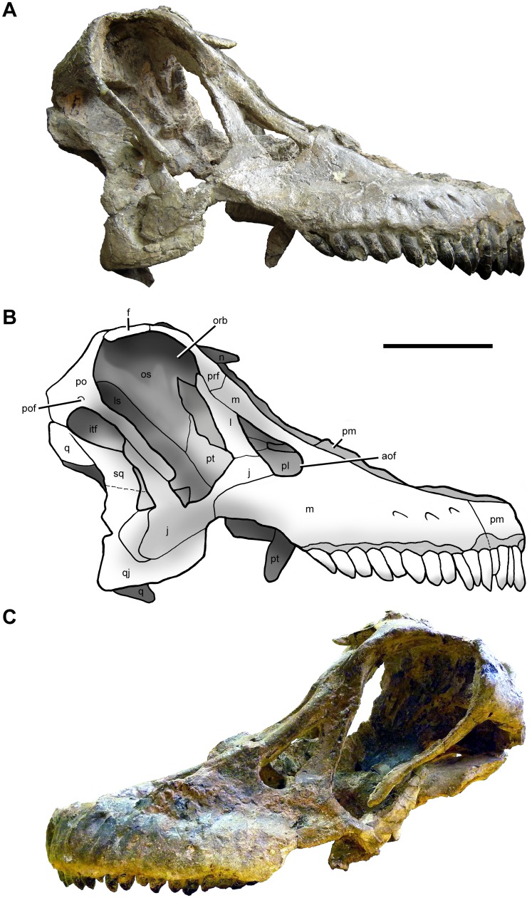 Fig 3