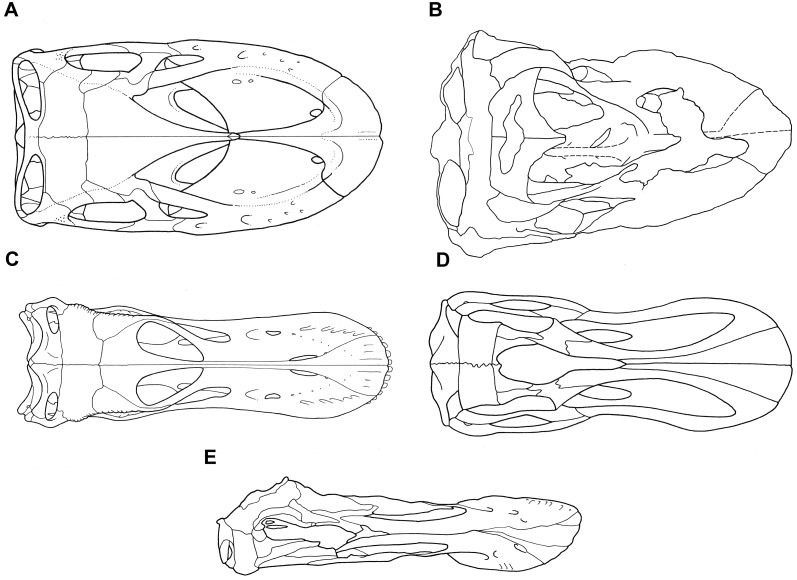 Fig 34