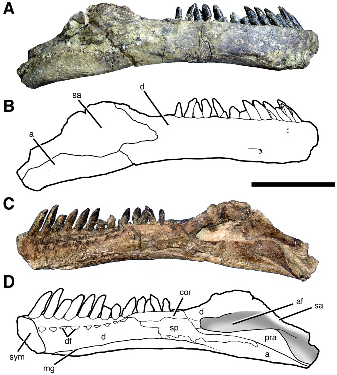 Fig 14