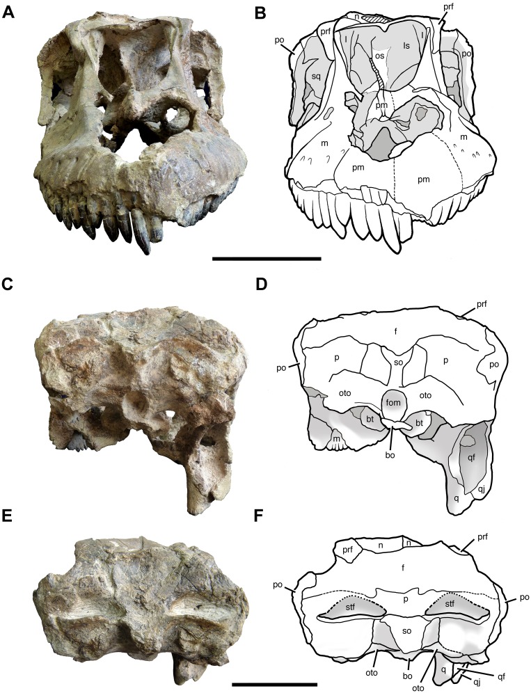 Fig 4