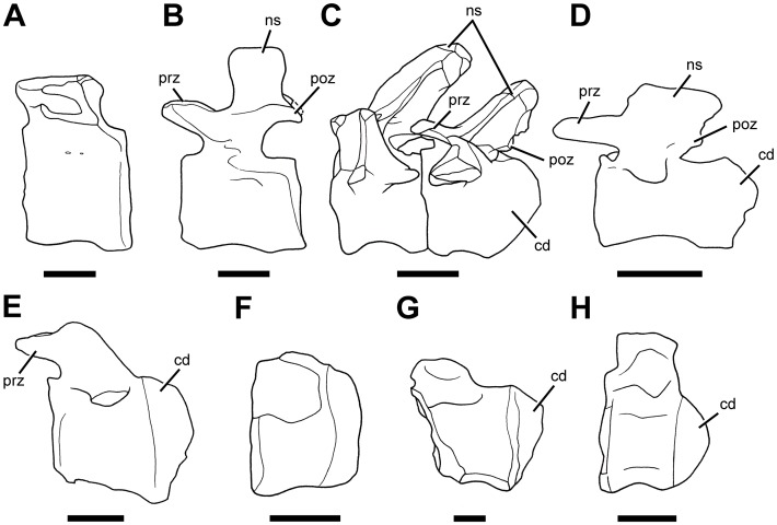 Fig 30