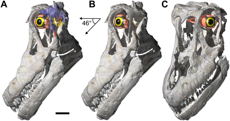 Fig 13