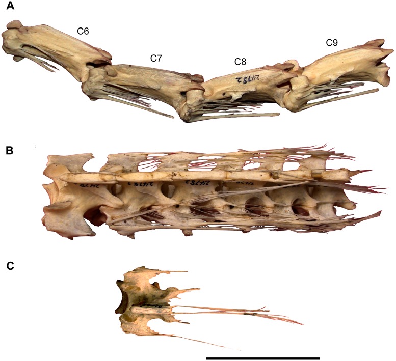 Fig 28