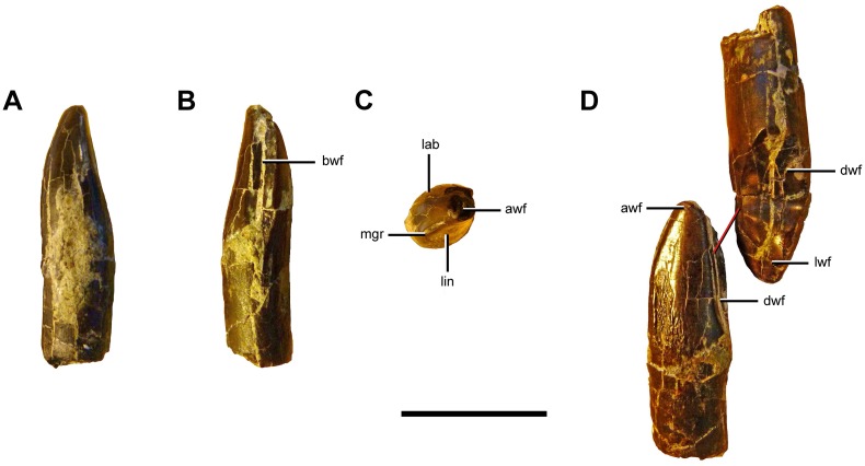 Fig 19