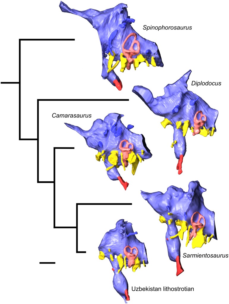 Fig 10