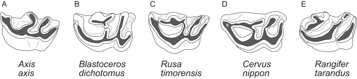 Figure 9