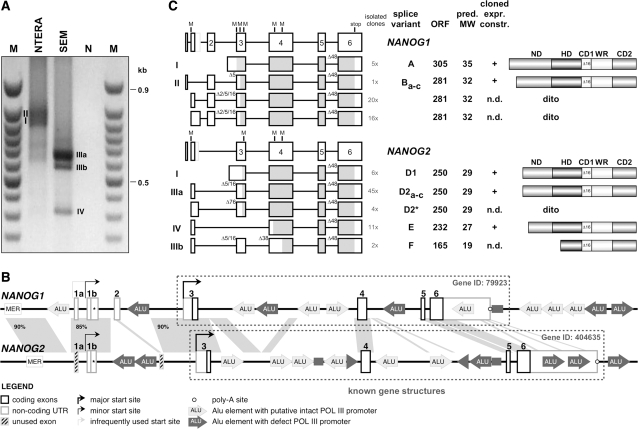 Figure 2.