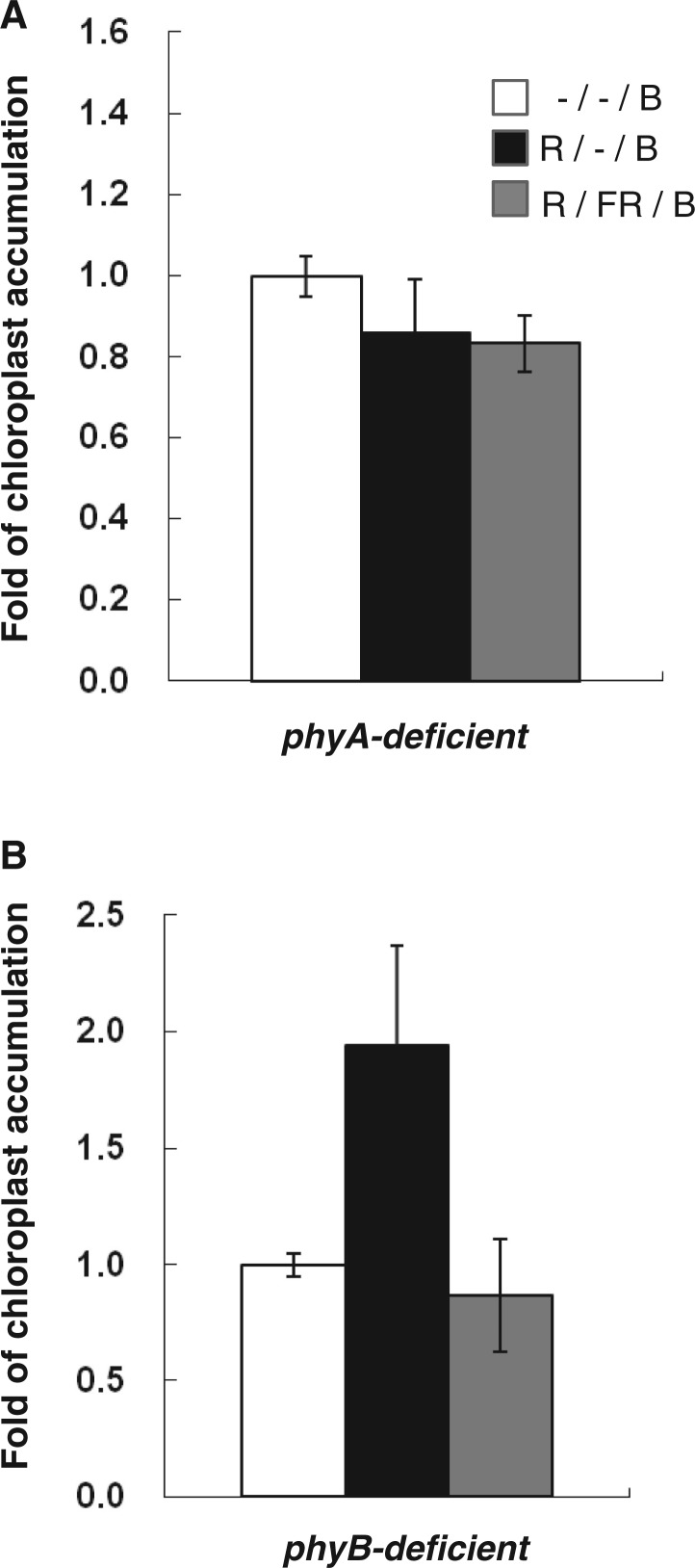 Fig. 8