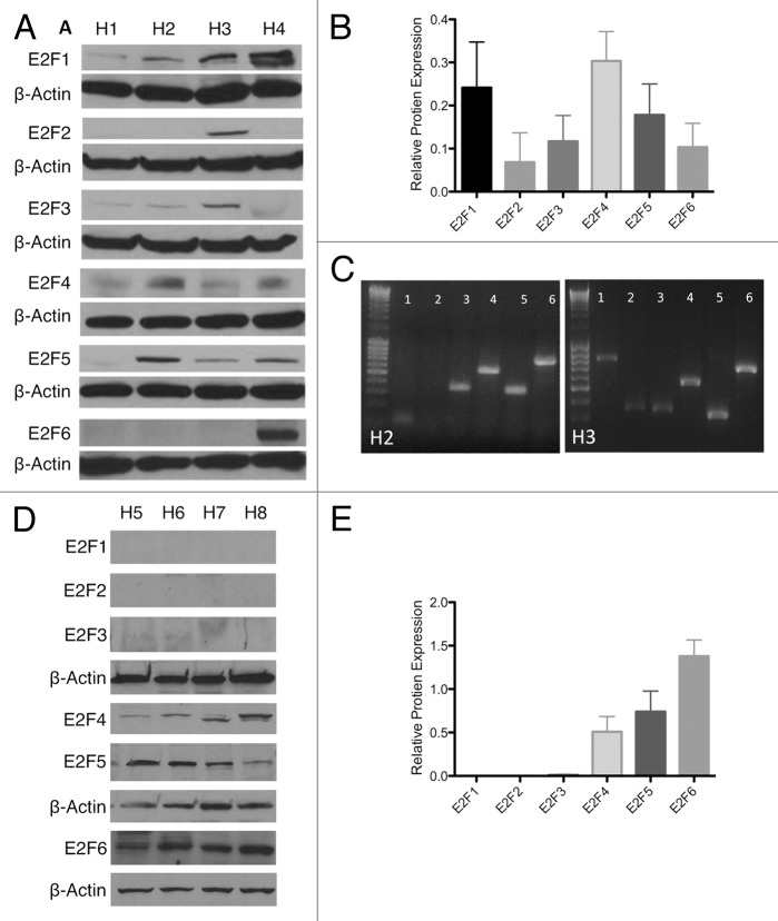 Figure 1. 