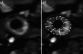 Fig. 5