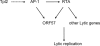 FIG. 7.