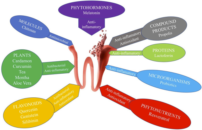 FIGURE 3