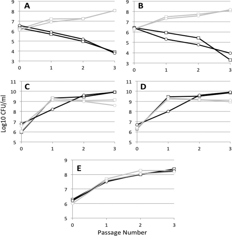 FIG 4 