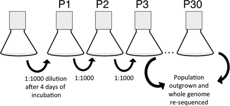 FIG 1 