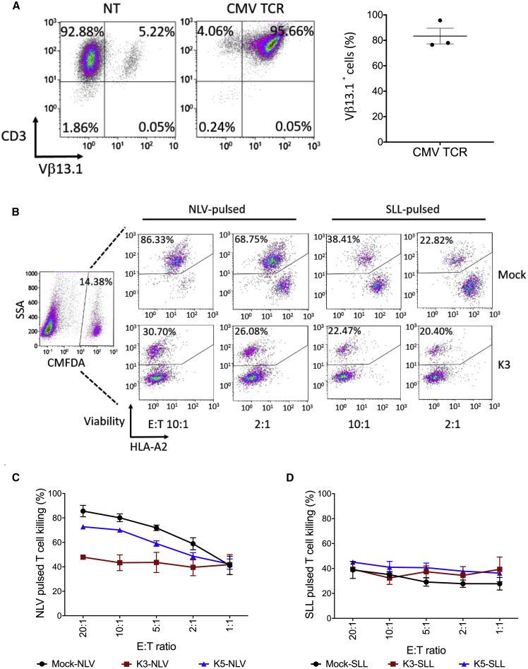 Figure 3