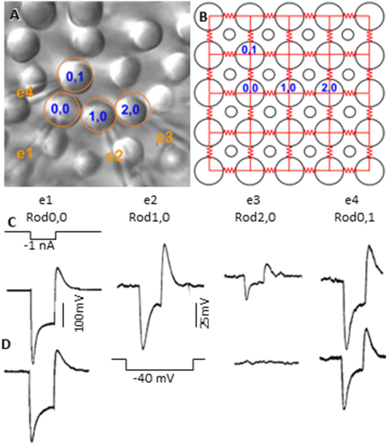 Figure 5.