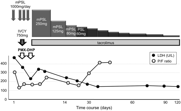 Fig. 3