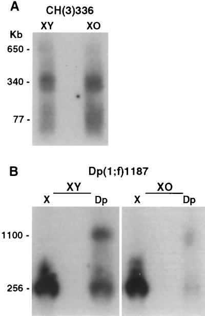 FIG. 5