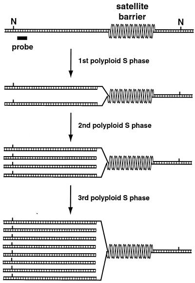 FIG. 6