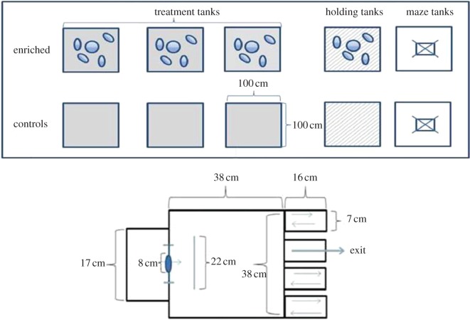 Figure 1.