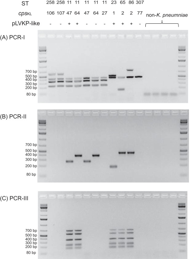 FIG 1