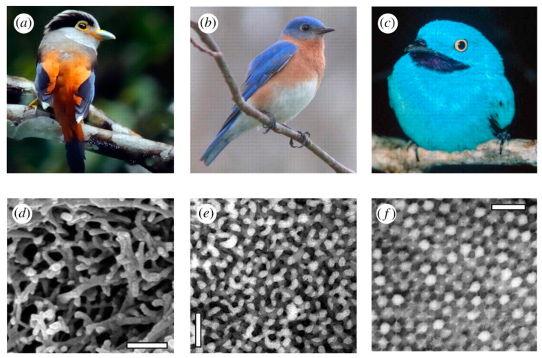 Figure 18