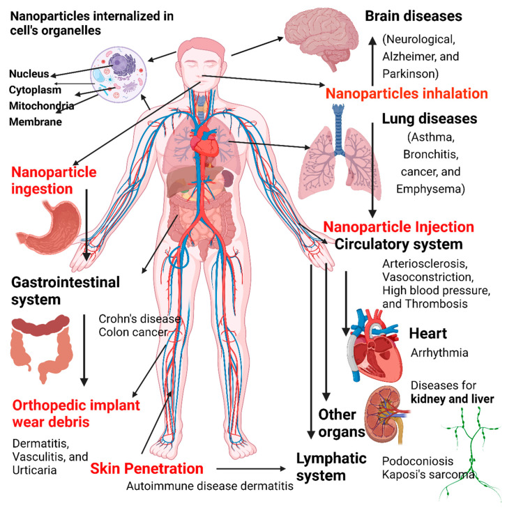 Figure 22