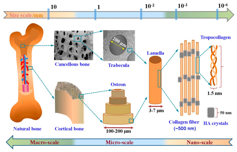 Figure 15