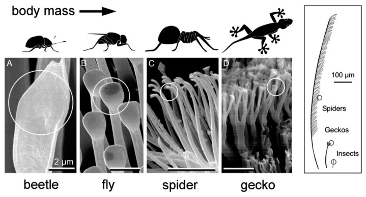 Figure 20