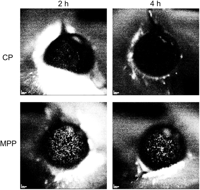 FIG. 6.