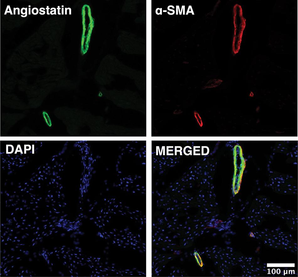 Figure 4: