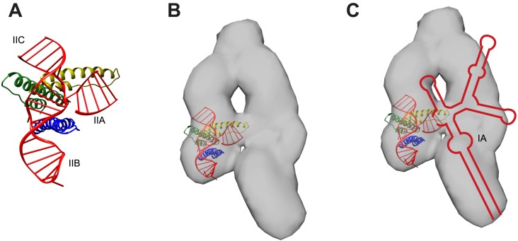 Figure 3—figure supplement 3.