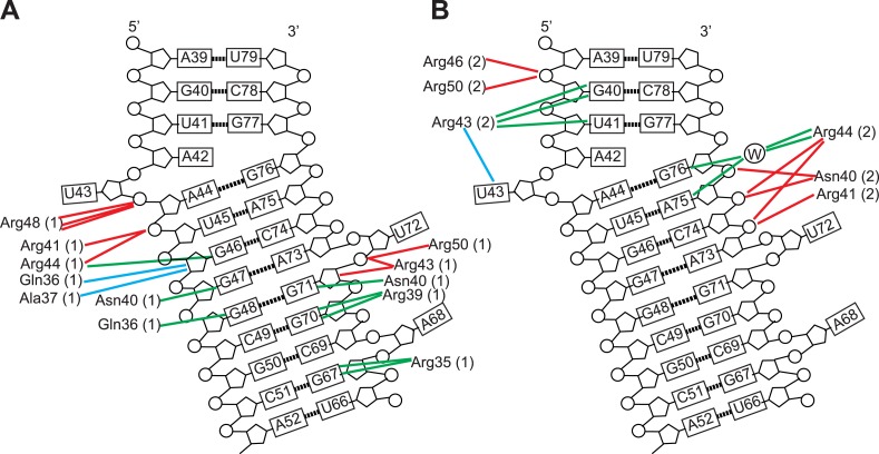 Figure 3—figure supplement 1.