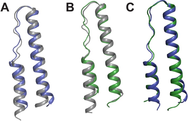 Figure 1—figure supplement 3.