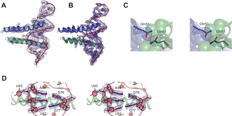 Figure 1—figure supplement 2.