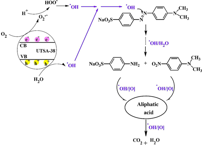 Fig. 12.