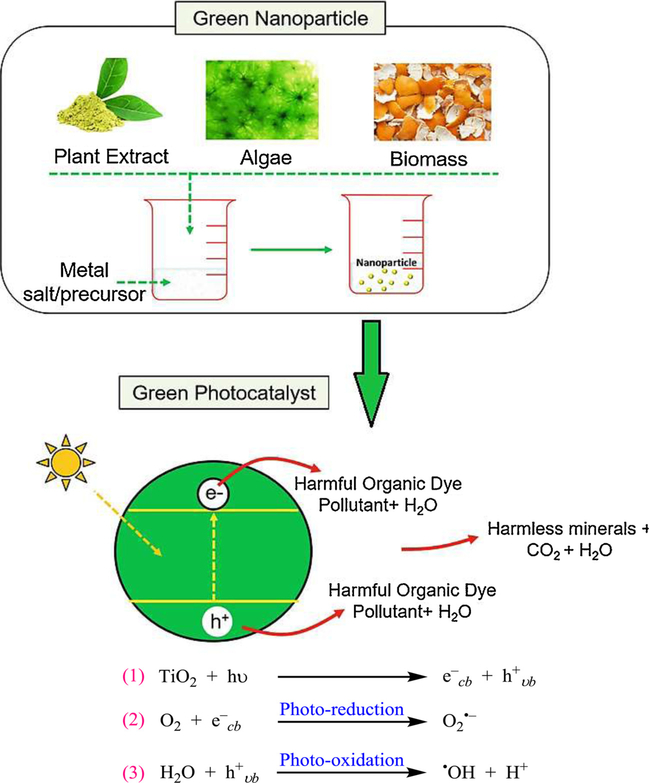 Fig. 10.