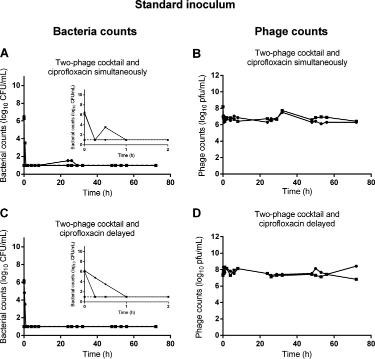 FIG 3