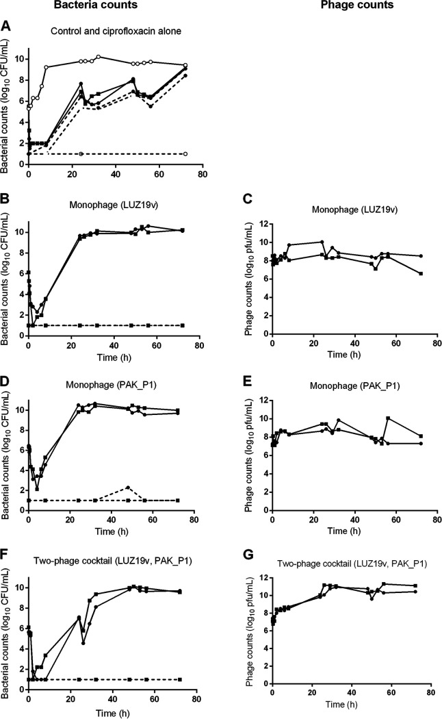 FIG 2