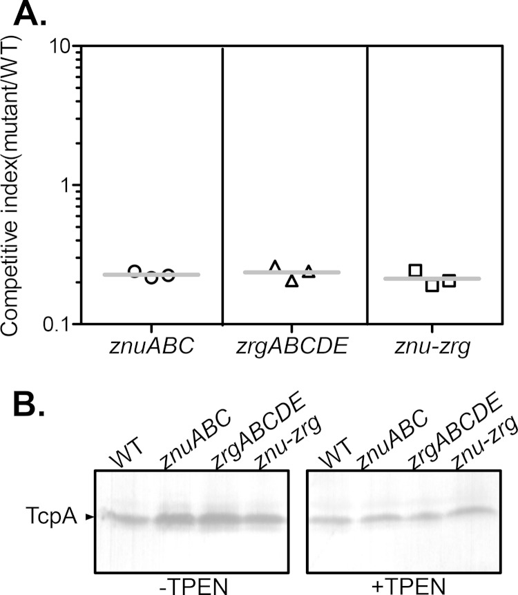 FIG 4