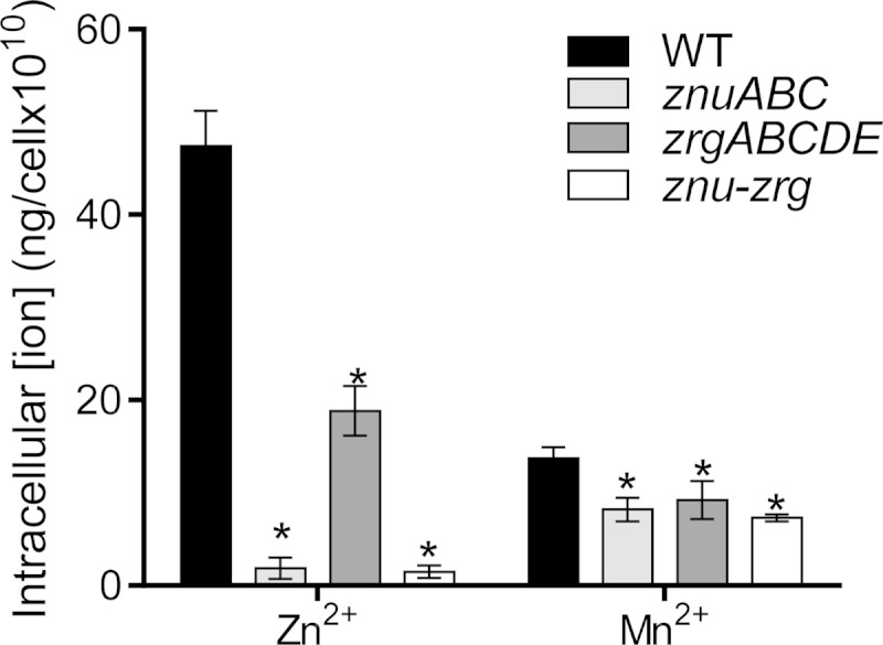 FIG 3