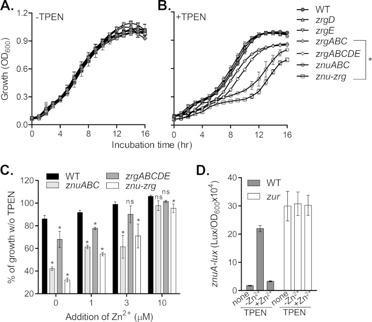 FIG 2