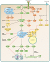 FIG 1