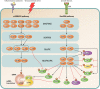 FIG 3