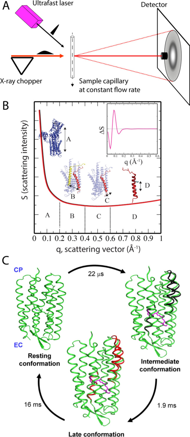 Fig. 4