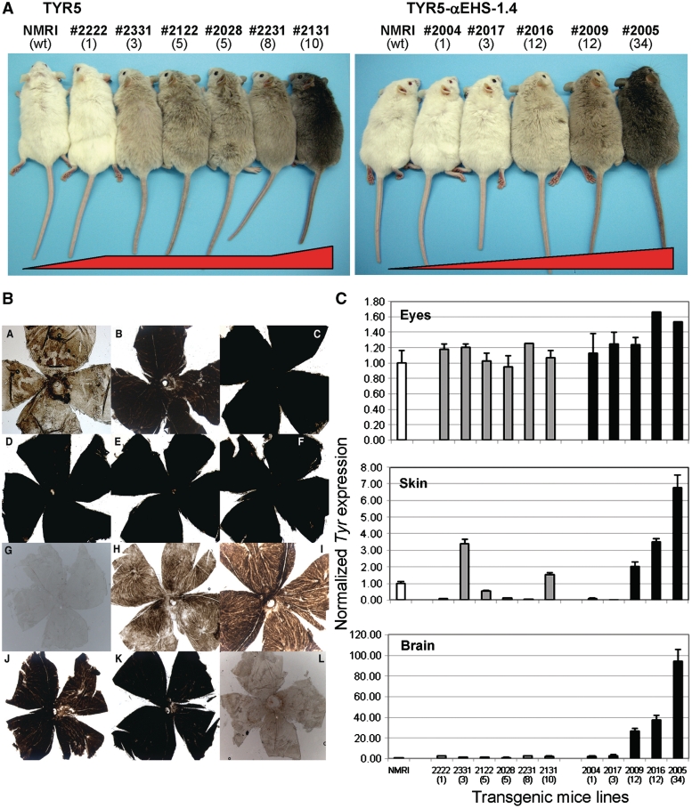 Figure 2.