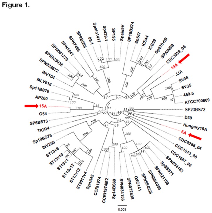 Figure 1