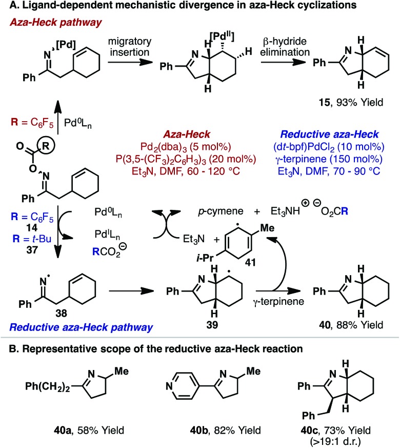 Scheme 14