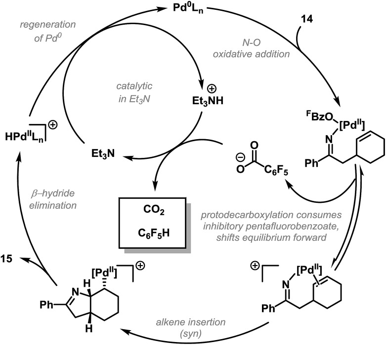 Scheme 7